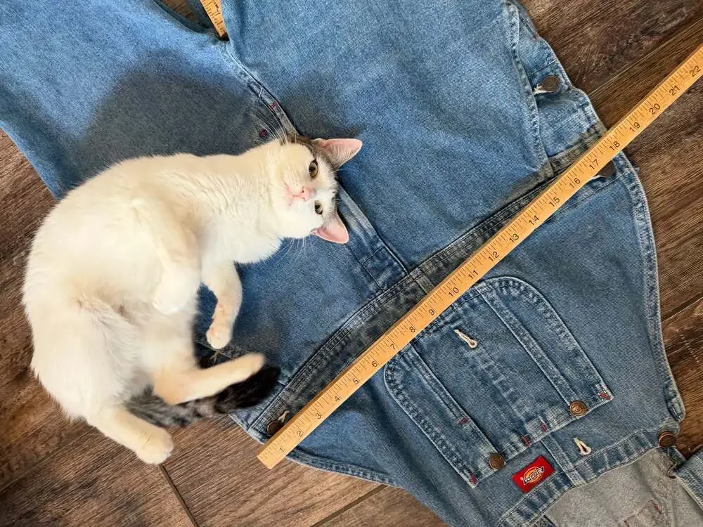 Dickies stonewashed indigo